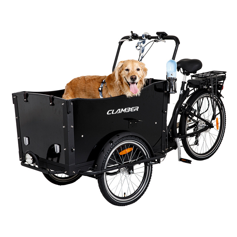 Adult pets cargo bike 3 Wheel Electric Bicycle/cycle Rickshaw