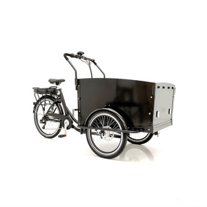 Delivery bike three wheel electric family cargo  bike 250W rear motor cargo tricycle for sale