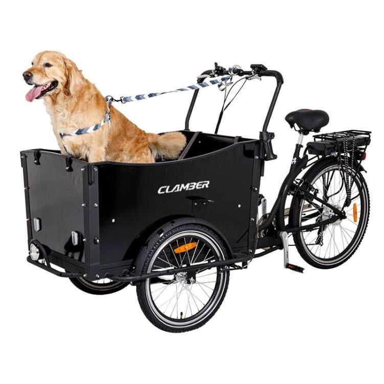 Adult pets cargo bike 3 Wheel Electric Bicycle/cycle Rickshaw