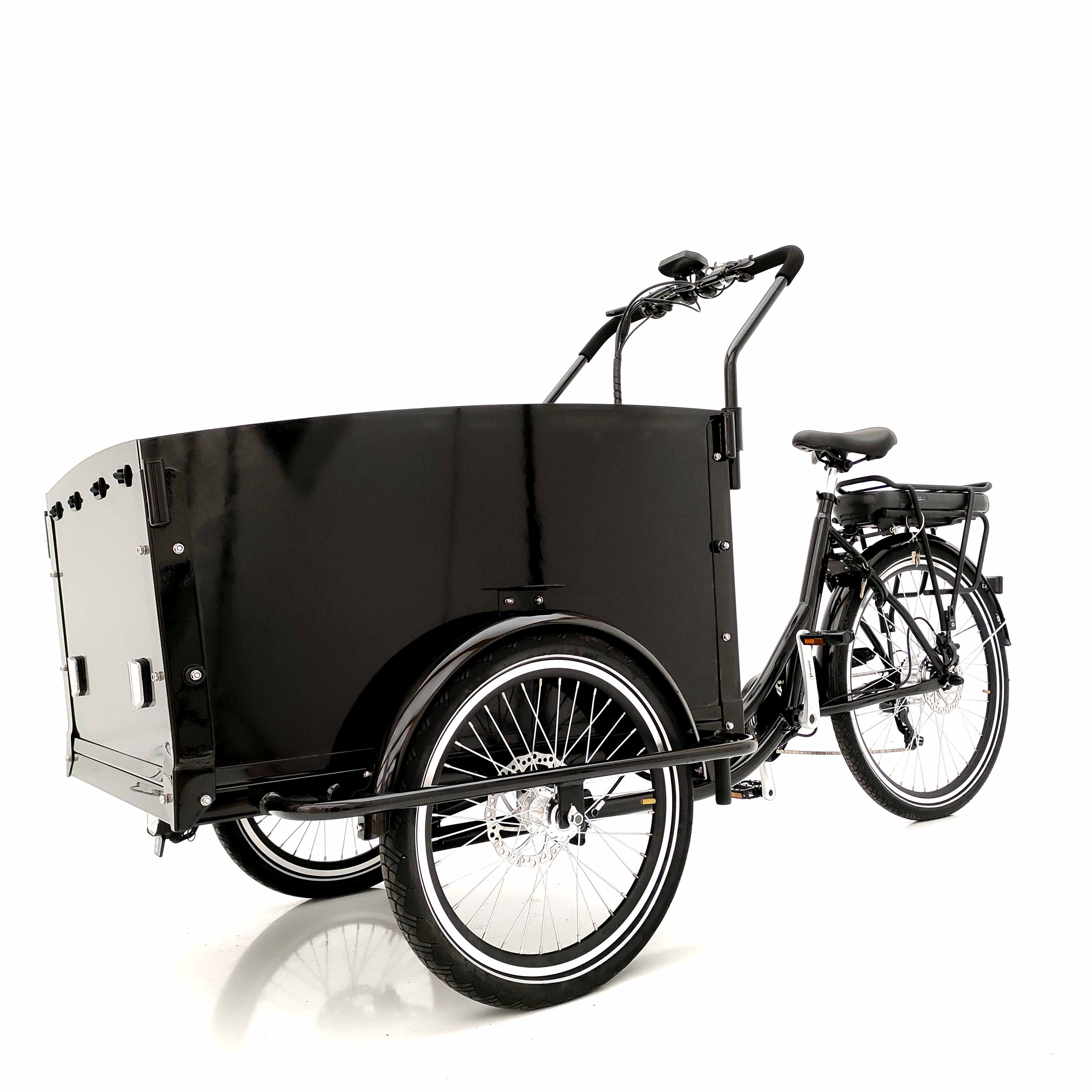 Delivery bike three wheel electric family cargo  bike 250W rear motor cargo tricycle for sale