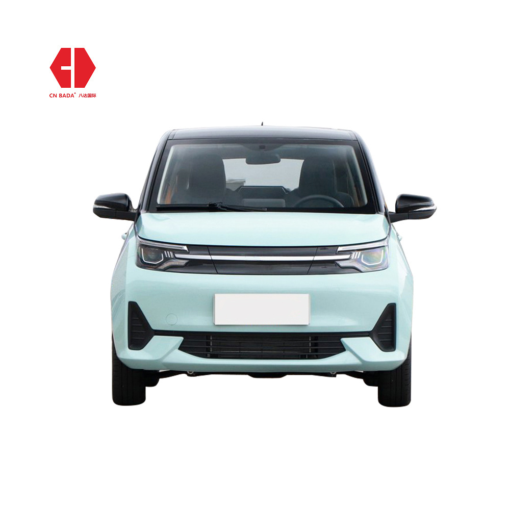 Hot Sale 100Km/H High Speed Adult 4 Wheel Left Hand Drive Electric Mini Car