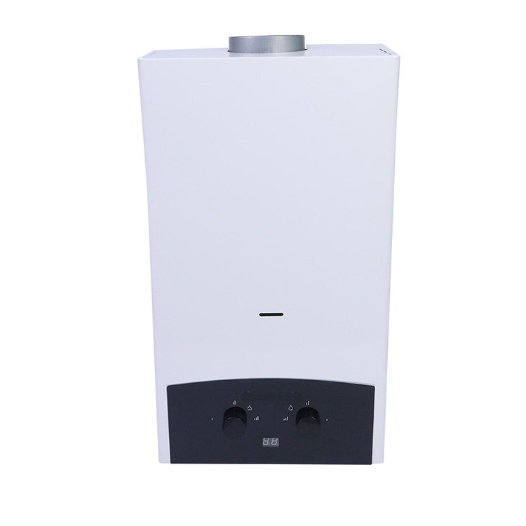 Factory Price Hot Water Heater Boiler 40KW 20L Gas Water Heater For Home