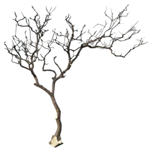 Decorative Dry Branches Black and White Artificial Trees Fake Dead Tree For Scene Decoration