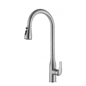 Chinese Single-Hole Stainless Steel Kitchen Faucet With Pull-Out Spray Feature