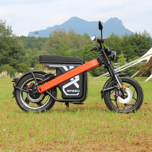 2024 China Electric Citycoco Factory Customized 2000W 3000W 4000W 60V20A 30A 50A 50A Mini Electric Citycoco Scooter Motorcycle