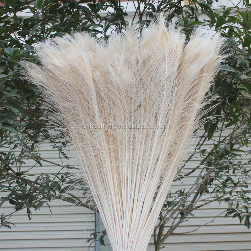 Best Sale Blenching and dyed Natural long beautiful Peacock Tail Feathers For Decoration