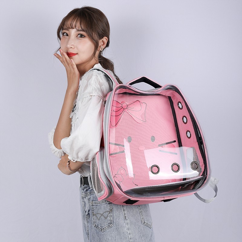 FY's customized Space Capsule Cat Clear Dog Backpack for Going Out Breathable Portable Pet Bag