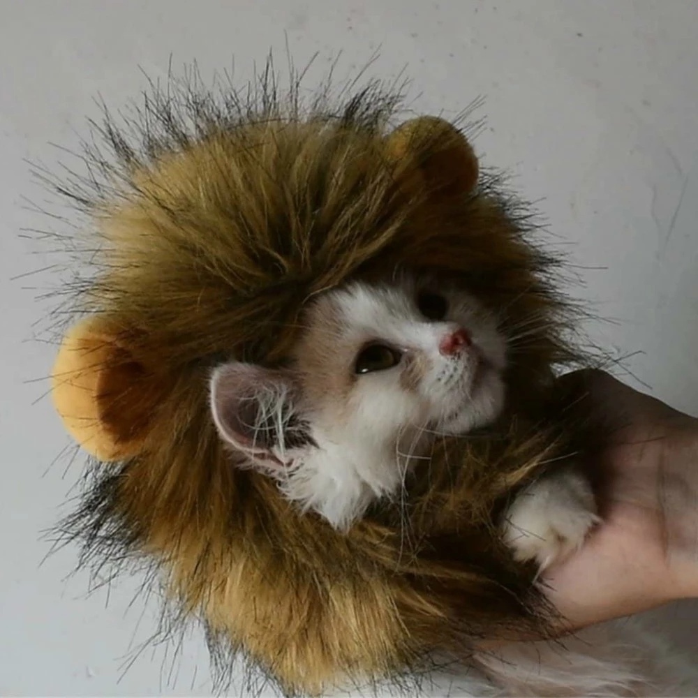 Funny Pet Small Dog Cat Costume Lion Mane Wig Cap Hat for Cat Dog Halloween Christmas Clothes Fancy Dress with Ears Pet Clothes