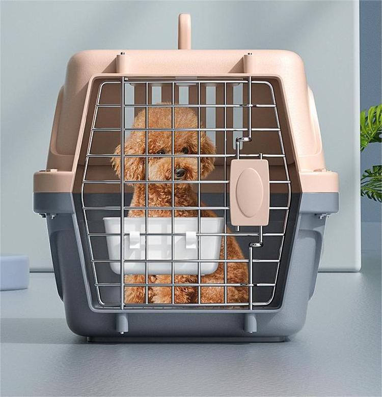 Thickened pet air box Cats and dogs creative breathable color matching durable portable car cage Large air box