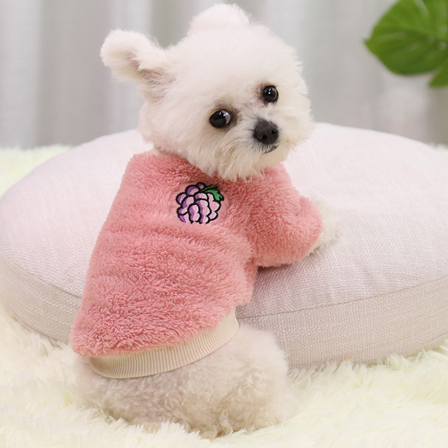 Autumn and Winter New Dog Clothes Small Dog Teddy Pomeranian Winter Warm Fleece Coat Cat Two legged Clothes