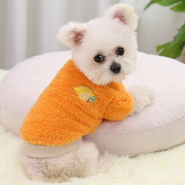 Autumn and Winter New Dog Clothes Small Dog Teddy Pomeranian Winter Warm Fleece Coat Cat Two legged Clothes