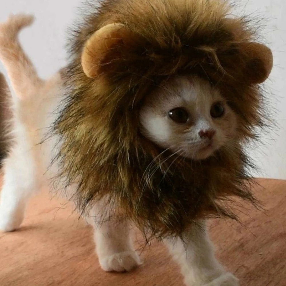 Funny Pet Small Dog Cat Costume Lion Mane Wig Cap Hat for Cat Dog Halloween Christmas Clothes Fancy Dress with Ears Pet Clothes