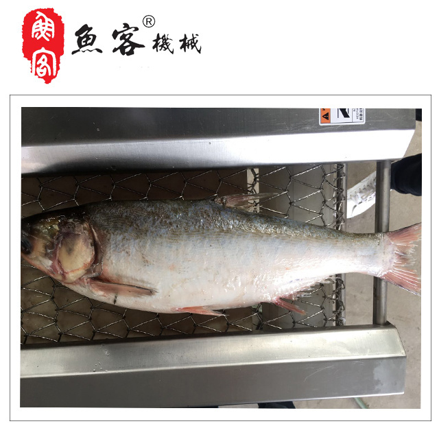 Factory Direct Sale Fish Scale Remover  Fish ProcessingScaling Machine Fish Cleaning Machine with CE