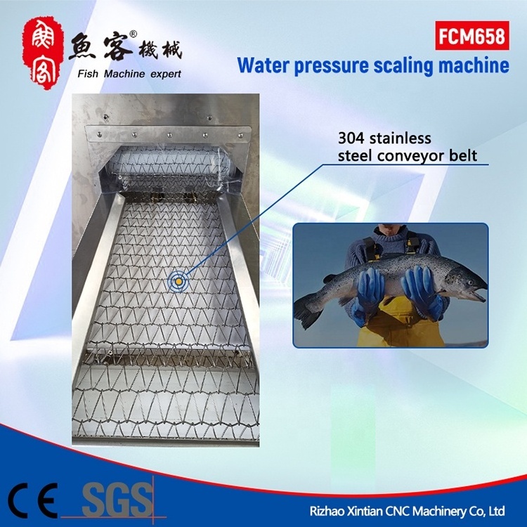 Fish Scaler 20cm Fish Scaling Machines High Demand Export Products Hot Sell Plastic Automatic Fish Scale Skin Removing Machines