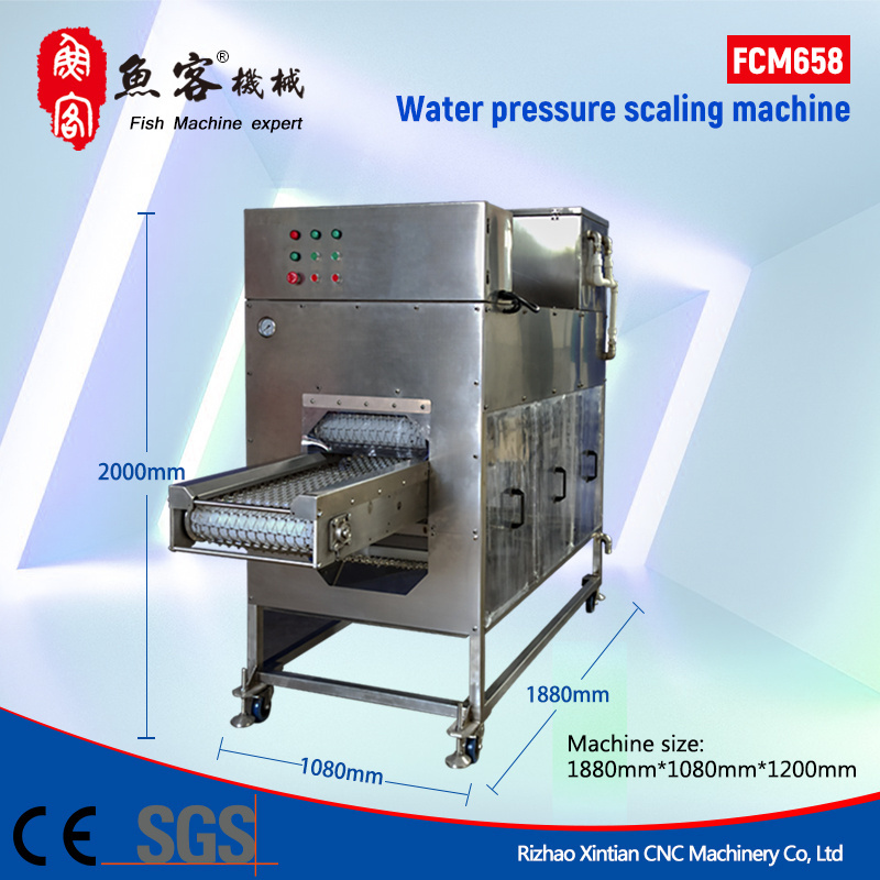 Factory Direct Sale Fish Scale Remover  Fish ProcessingScaling Machine Fish Cleaning Machine with CE