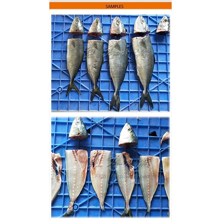 Most demanded products fish processing machines fish canning equipment