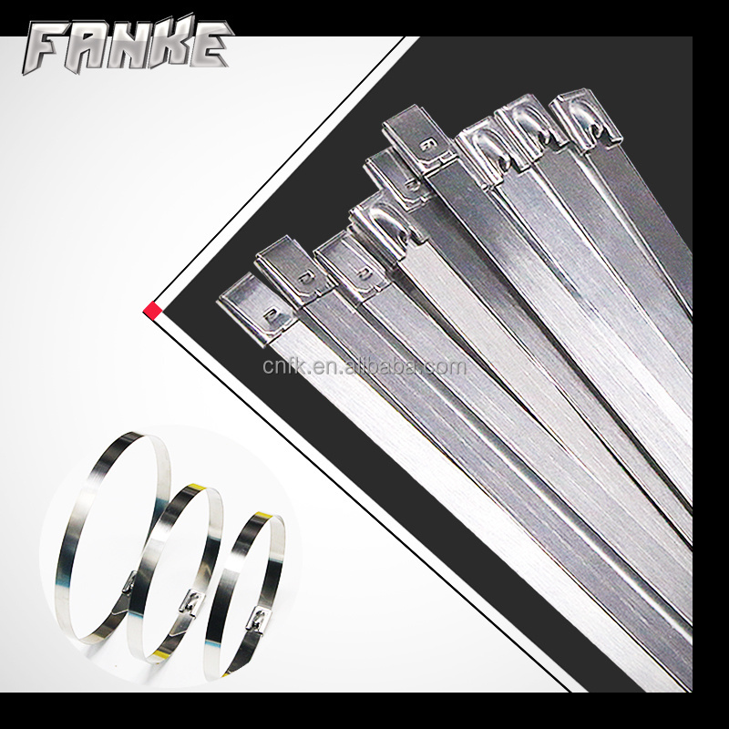 4.6*100mm stainless steel cable tie 4.6mm width