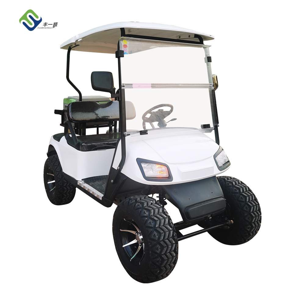 China hot sale or electric powered 2 Seater club car Golf Carts buggy with off road  tyres and lithium battery