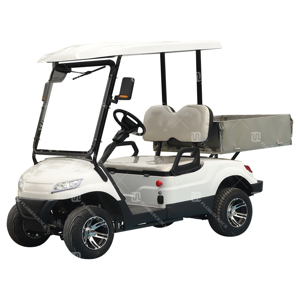 FNE Brand Chinese New 2 Person 72v electric lifted golf cart with cargo  off road  with lithium battery 4 Wheel Electric