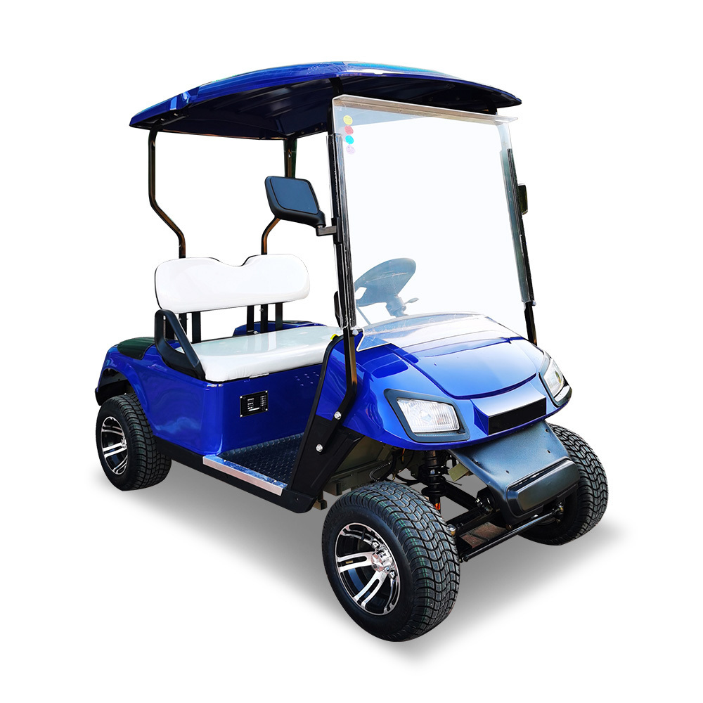 China hot sale or electric powered 2 Seater club car Golf Carts buggy with off road  tyres and lithium battery