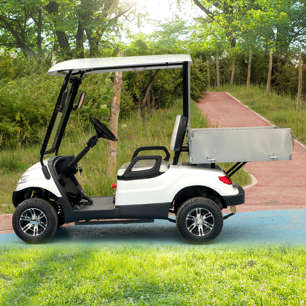 4 wheel electric scooter car golf carts for adults batteries  golf cart  2 seater with bucket for sale philippines south Korea