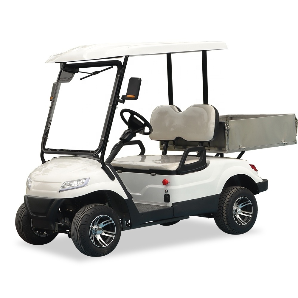 FNE Brand Chinese New 2 Person 72v electric lifted golf cart with cargo  off road  with lithium battery 4 Wheel Electric