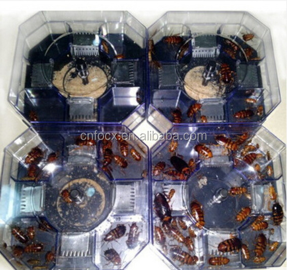 Reusable Automatic Cockroach Trap / Cockroach Bug Catcher / Pest Control Box