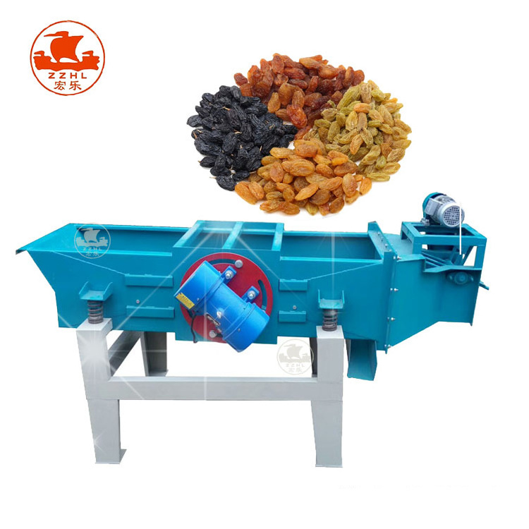 Fully Automatic Grape Seed Separator Destemmer Processing Machine Grape Dryer Machine