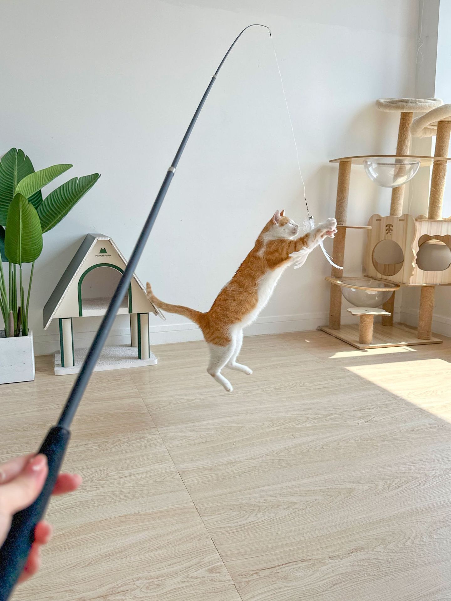 Funny Pet Training Tool Toys Accessories Retractable Interactive Fishing Rod Feather Wand Cat Teaser Stick Toy