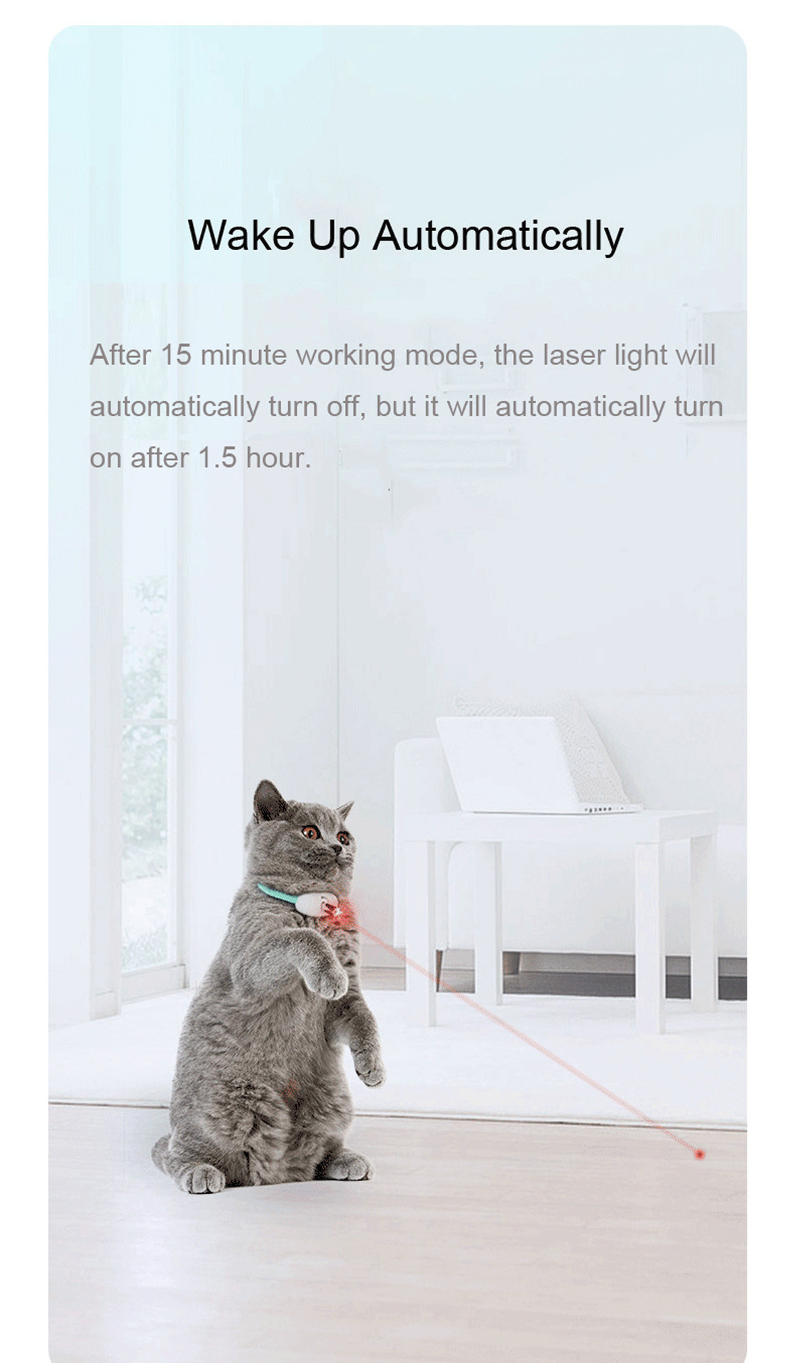 2023 new cat accessories pet supplies USB charging cat toy adjustable cat laser collar