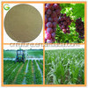 Organic fertilizer amino acid granular fertilizer with IMO certification