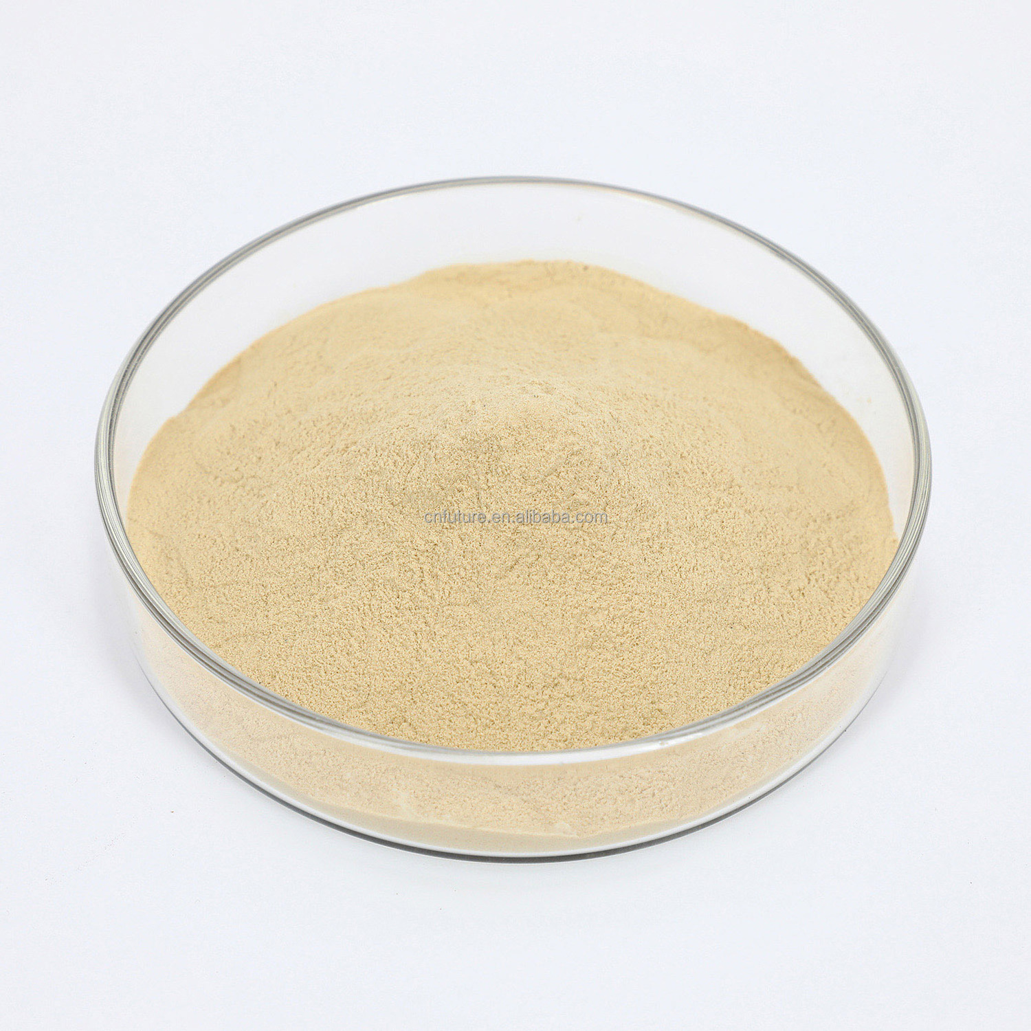 quick shipment free amino acid 40 50 80 powder fertilizer for agriculture with good prices