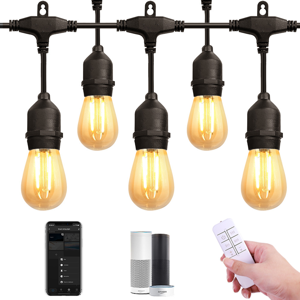 Warm White Vintage Edison bulb WiFi & Remote control Hanging Smart Patio String Light