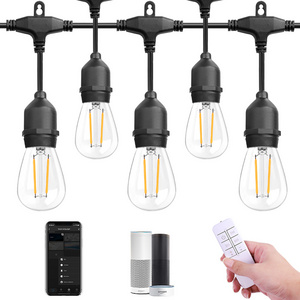 Warm White Vintage Edison bulb WiFi & Remote control Hanging Smart Patio String Light