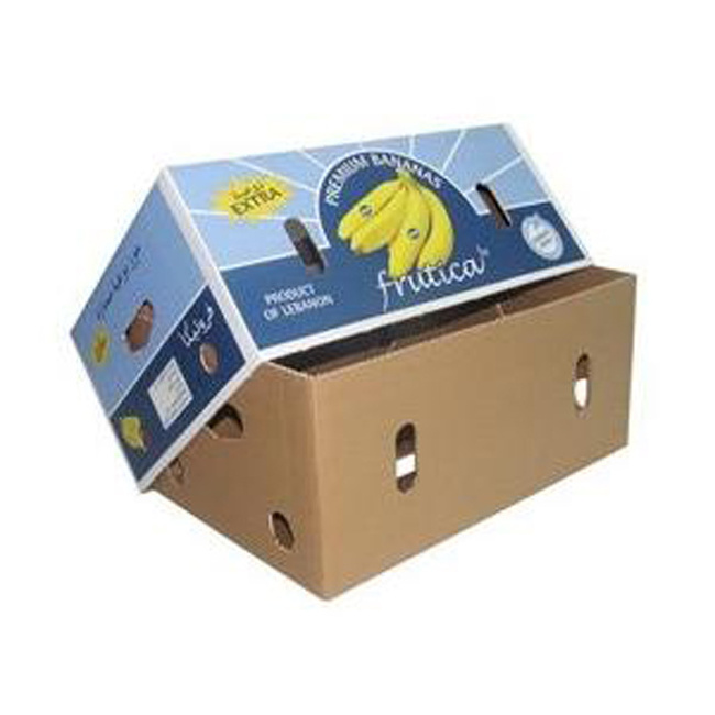 Fruit And Vegetable And Seafood Corrugated Packaging Waxed Cardboard Boxes