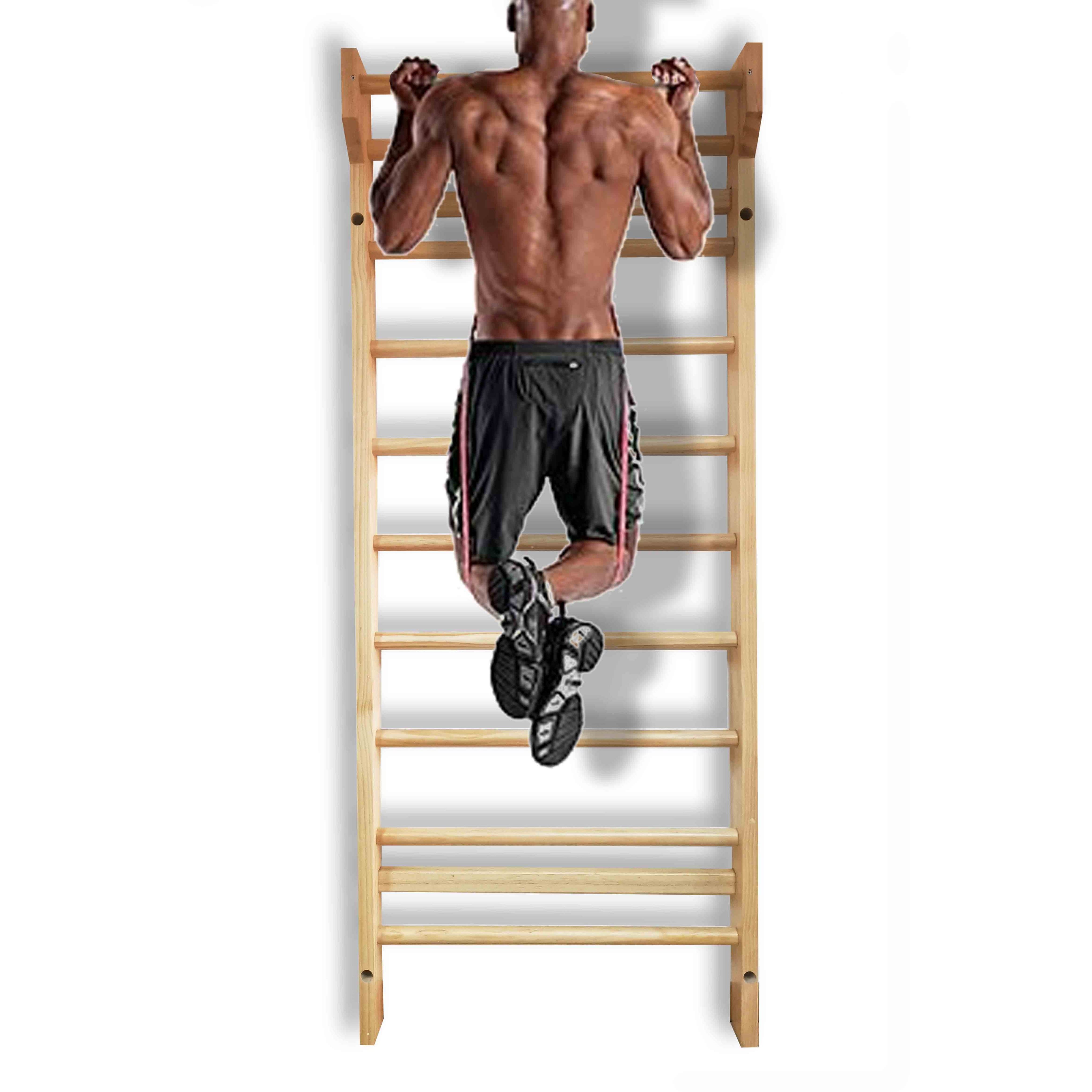 Gibbon New Trend Fitness Equipment Swedish Wall Ladder Home Gym For Kids, High Quality Product Home Gym Swedish Wall