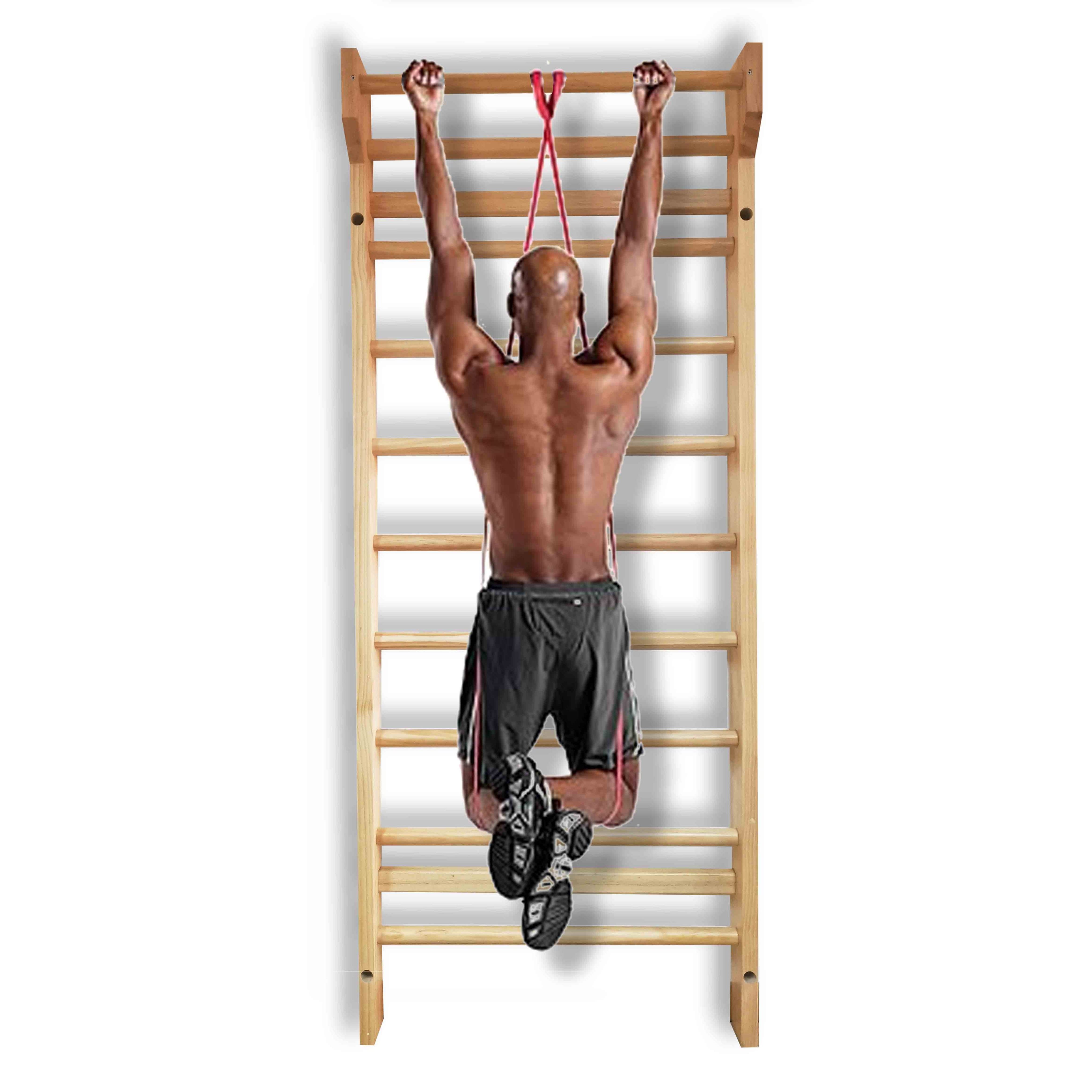 Gibbon New Trend Fitness Equipment Swedish Wall Ladder Home Gym For Kids, High Quality Product Home Gym Swedish Wall