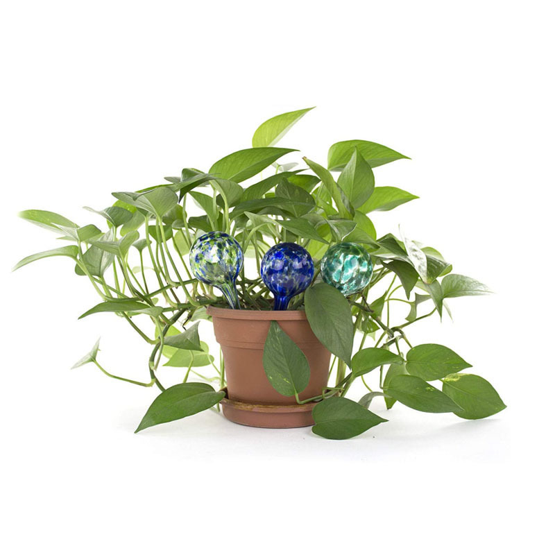 Indoor Plant Watering Globes Automatic Self Water Bulbs Aqua Water Globe Irrigation Decorative Hand-Blown Glass