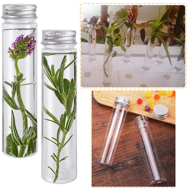 Transparent Test Tube Vase Borosilicate Glass Flower Vases Cylinder Clear Glass Bottle Vases with Metal Lids