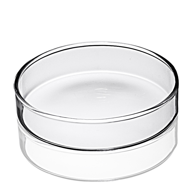 BOROSILICATE GLASS PETRI DISHES