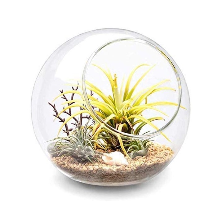 Air Plant Glass Terrarium Tea Light Cover Hanging 100mm Clear Glass Ball Candle Holders for Wedding Decoration