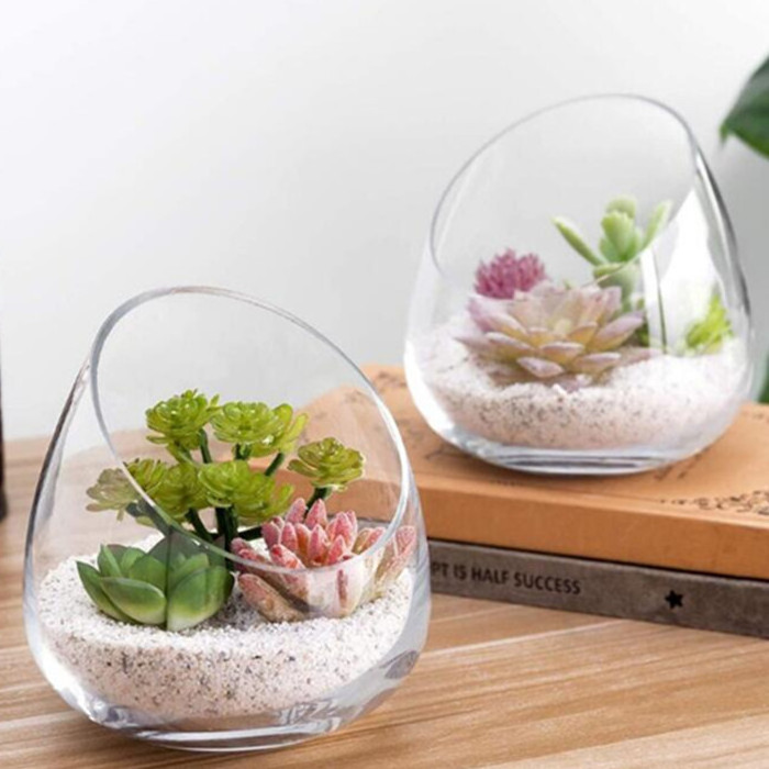 Mini 5 Inch Clear Glass Air Plant Terrarium for Succulent Cactus Plant Vases