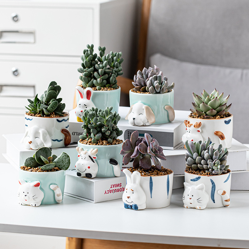 Wholesale simple and fresh hand-painted celadon animal cartoon creative succulent combination flower pot