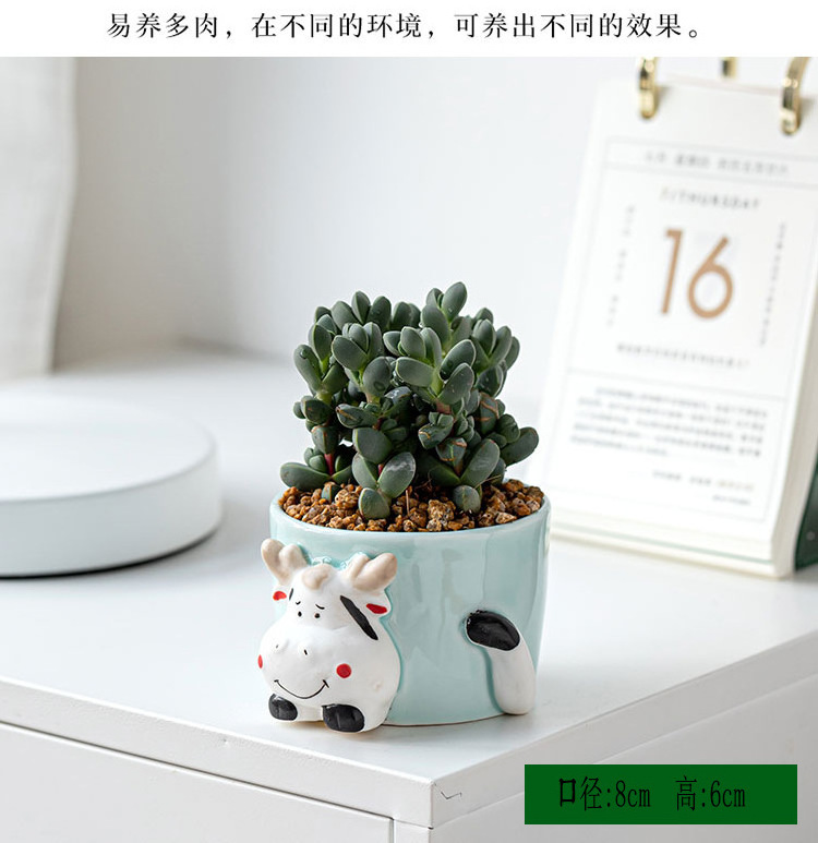 Wholesale simple and fresh hand-painted celadon animal cartoon creative succulent combination flower pot