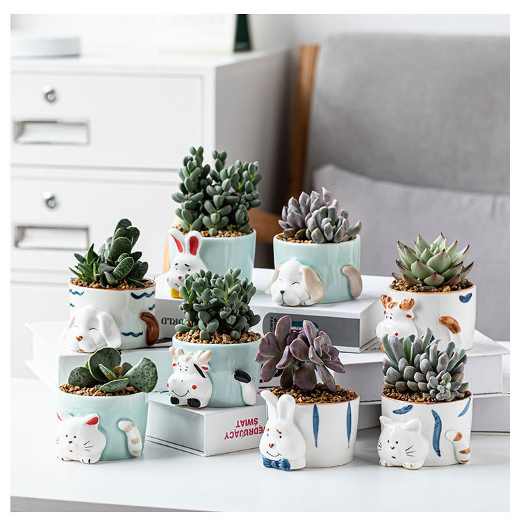 Wholesale simple and fresh hand-painted celadon animal cartoon creative succulent combination flower pot