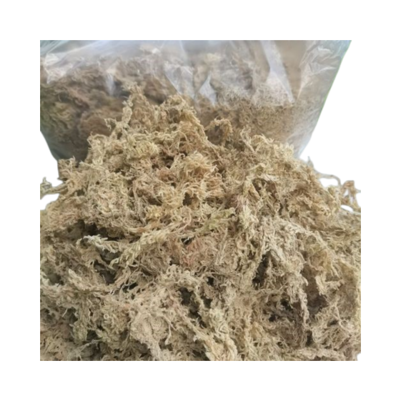 wholesale long fiber sphagnum moss Terrarium moss for orchid plant