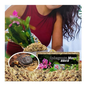 Premium Sphagnum Moss Natural Substrate for Reptile Frog Snake Terrarium and Orchid Habitat