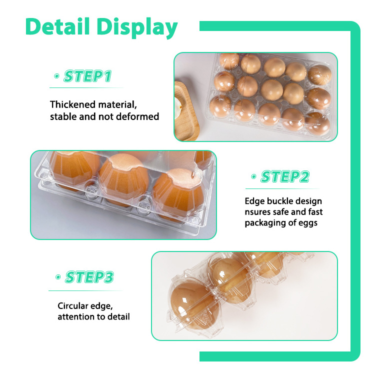 Egg Cartons for Chicken Eggs Tray Plastic Packaging Box Container Empty Egg Cartons for Sale