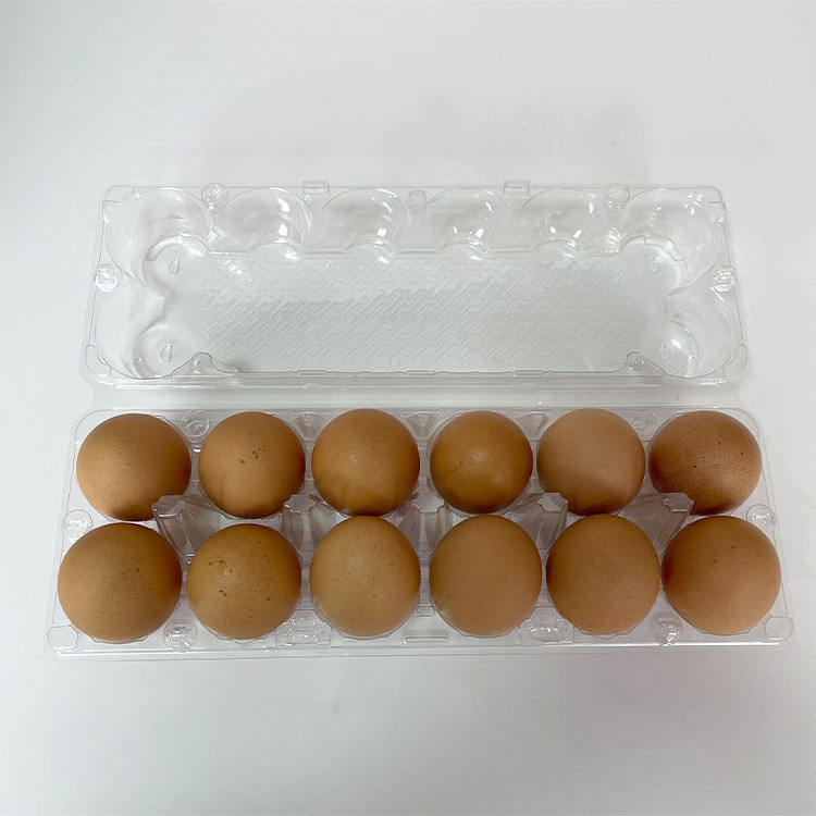 Egg Cartons for Chicken Eggs Tray Plastic Packaging Box Container Empty Egg Cartons for Sale