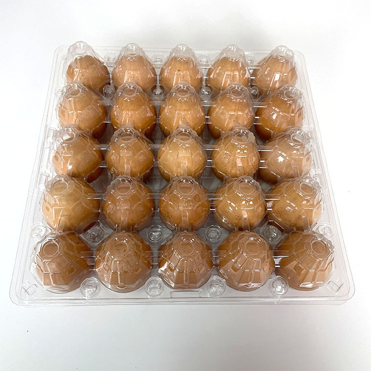 Eggs Plastic Tray Carton Containers PET Plastic Food Packaging Eggs Carton Plastic Egg Carton